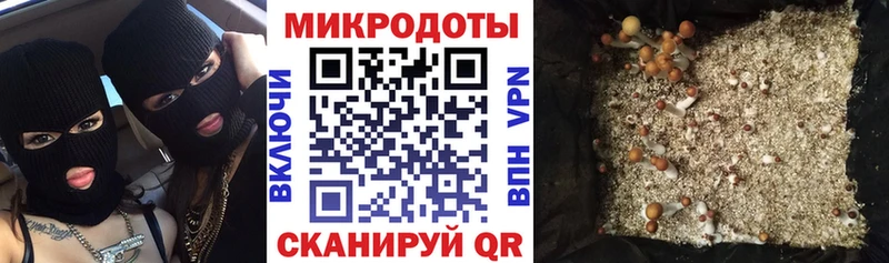 мега маркетплейс  купить наркоту  Высоцк  Псилоцибиновые грибы прущие грибы 