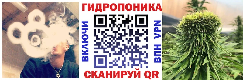 где купить наркоту  Высоцк  МАРИХУАНА гибрид 